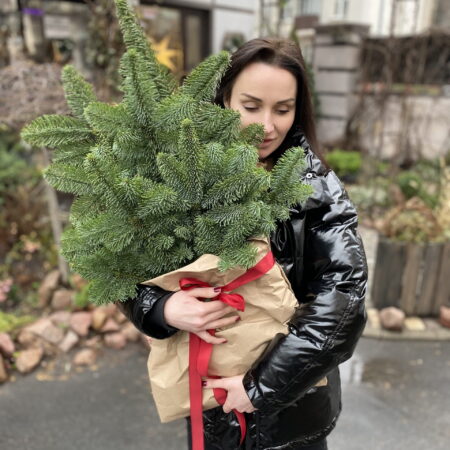 Нобилис - цветы, цветы гомель, доставка цветов гомель, купить цветы, доставка цветов