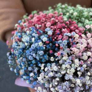 IMG_5416-scaled-380×380