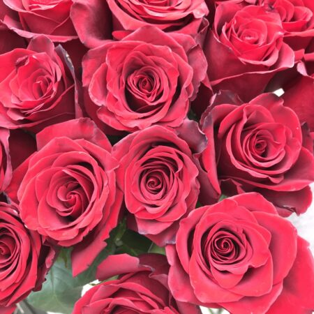 Букет из роз #1089 - цветы, цветы гомель, доставка цветов гомель, купить цветы, доставка цветов