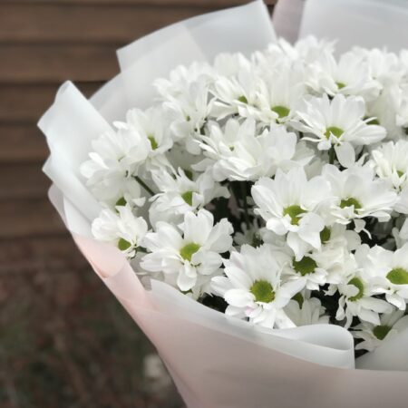 Букет из ромашек #1101 - цветы, цветы гомель, доставка цветов гомель, купить цветы, доставка цветов