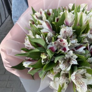 Букет из альстромерии #1150