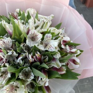 Букет из альстромерии #1150