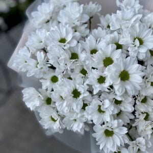 Букет из ромашек #1138