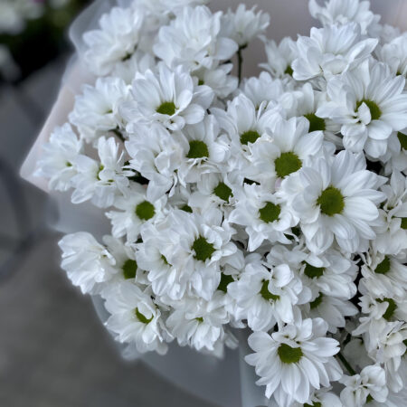 Букет из ромашек #1138 - цветы, цветы гомель, доставка цветов гомель, купить цветы, доставка цветов