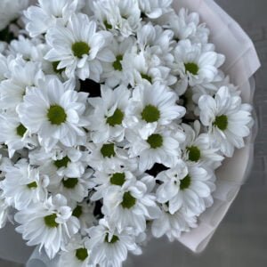 Букет из ромашек #1138