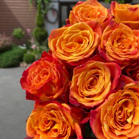 Монобукет #2455 - цветы, цветы гомель, доставка цветов гомель, купить цветы, доставка цветов