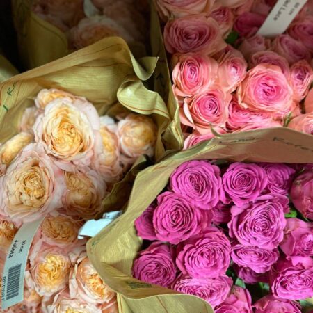 Пинус - цветы, цветы гомель, доставка цветов гомель, купить цветы, доставка цветов